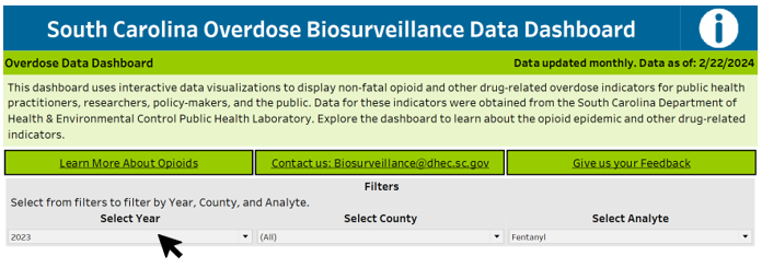 Dashboard filter view image